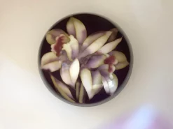 1960s Vintage Japanese Cloisonne Box With Lid, Marked Ando -Chairish Shop 1960s vintage japanese cloisonne box with lid marked ando 3356 scaled