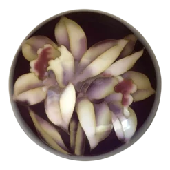 1960s Vintage Japanese Cloisonne Box With Lid, Marked Ando