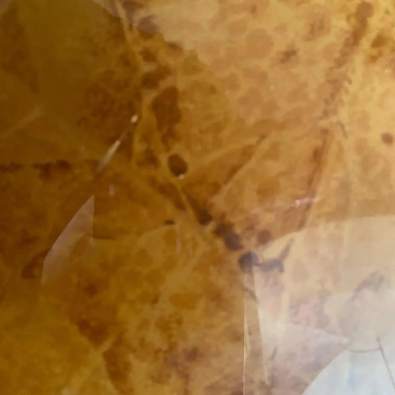 1980s Set Of Two Modernist Lucite Italian Magazine Stands 3 1980s Set Of Two Modernist Lucite Italian Magazine Stands - Image 3