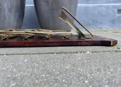 Art Deco Wall Mounted Magazine Rack, Germany, 1920s 13 Art Deco Wall Mounted Magazine Rack, Germany, 1920s -Chairish Shop art deco wall mounted magazine rack germany 1920s 4934