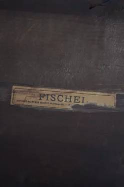 Bentwood Umbrella Stand From Fischel 19 Bentwood Umbrella Stand From Fischel -Chairish Shop bentwood umbrella stand from fischel 5867 scaled