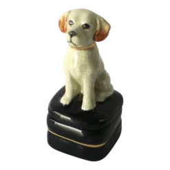 Labrador Retriever Puppy Dog Box