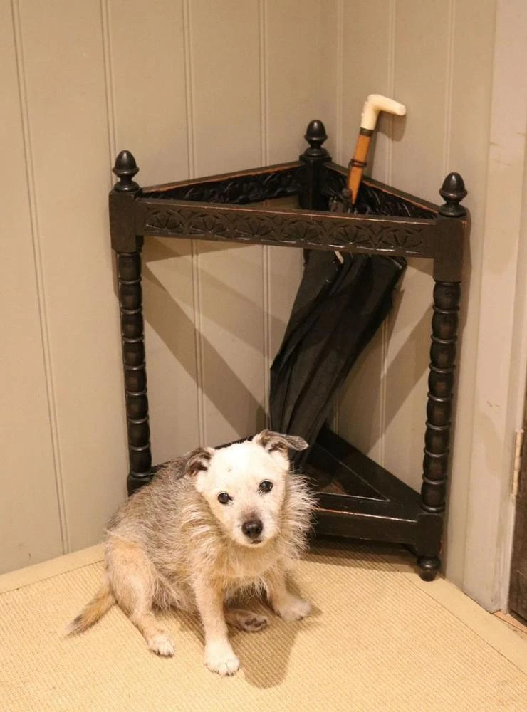 Late 19th Century Oak Corner Stick Stand 3 Late 19th Century Oak Corner Stick Stand - Image 3