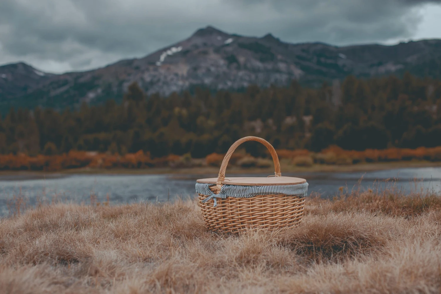 The Country Picnic Basket With Navy & White Liner 2 The Country Picnic Basket With Navy & White Liner - Image 2