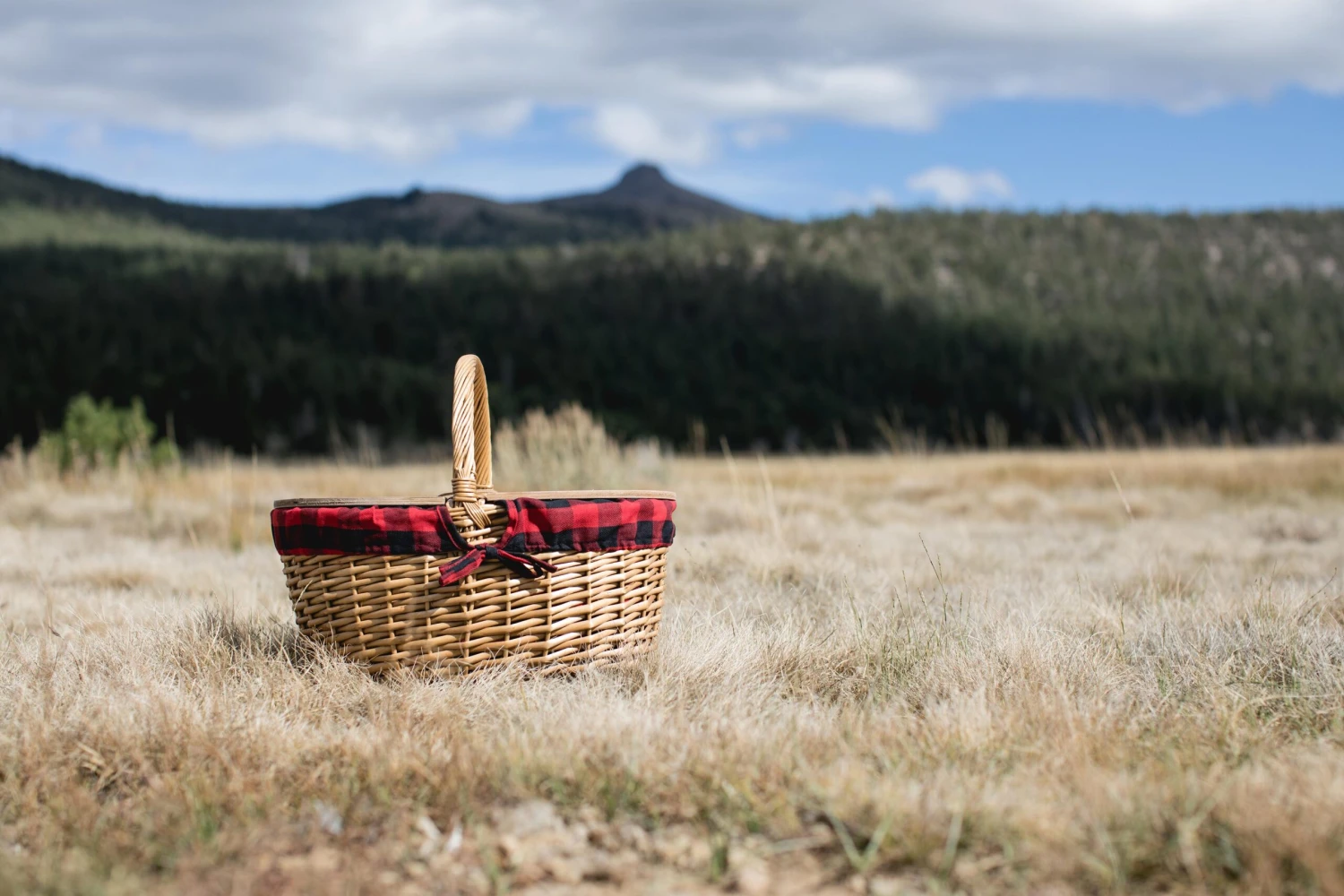 The Country Picnic Basket With Red & Black Liner 2 The Country Picnic Basket With Red & Black Liner - Image 2