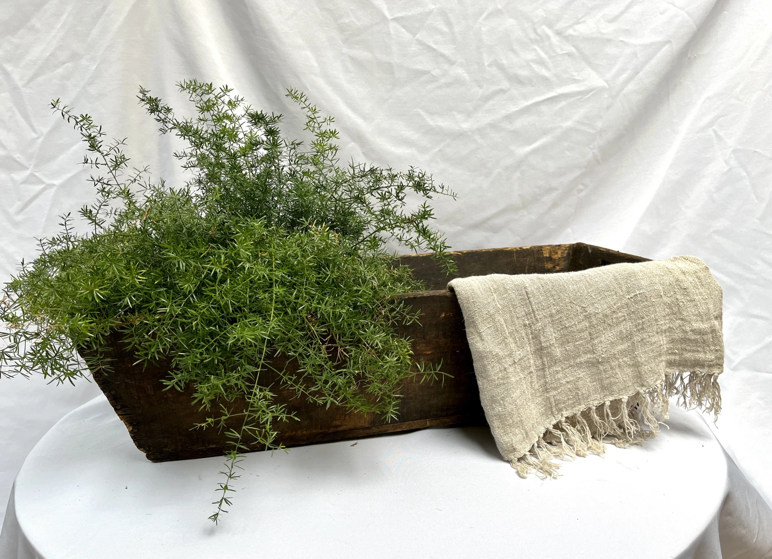 Vintage 1930s French Wine/Champagne Shallow Wood Market Crate 2 Vintage 1930s French Wine/Champagne Shallow Wood Market Crate - Image 2